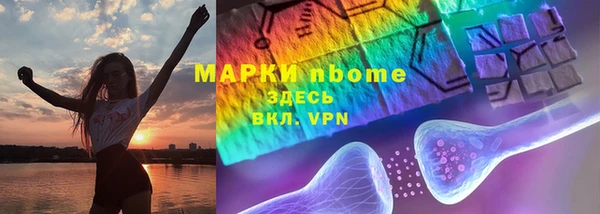 apvp Алзамай