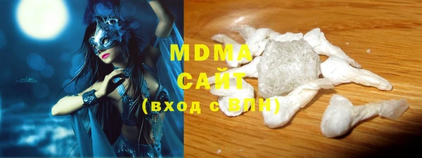 хмурый Алексин