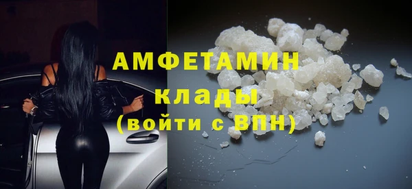apvp Алзамай