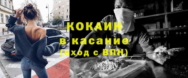хмурый Алексин