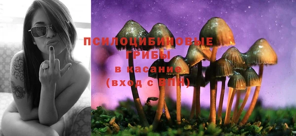 apvp Алзамай
