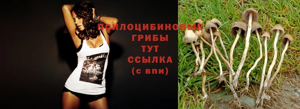 хмурый Алексин