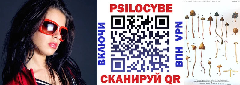Псилоцибиновые грибы Cubensis  KRAKEN ТОР  Родники 